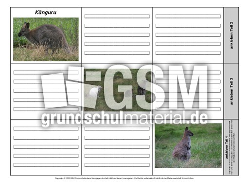 Leporello-Känguru-1-1-2.pdf